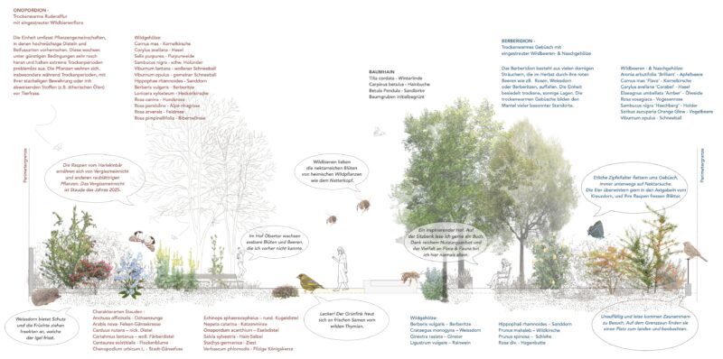 Obertor Schnitt Biodiversitaet